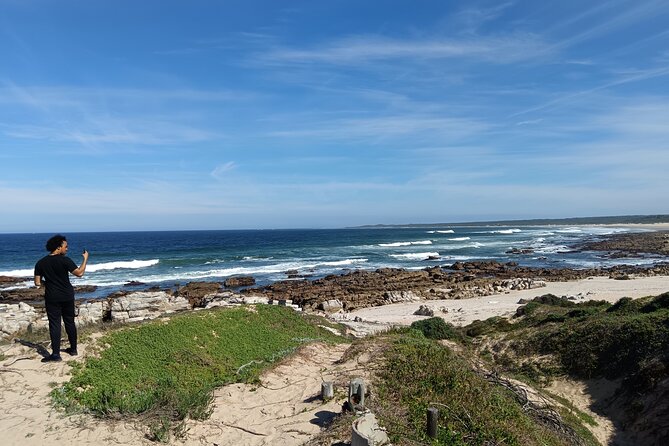 Guided Port Elizabeth Coastal Tour - An hour with African penguins at SANCCOB