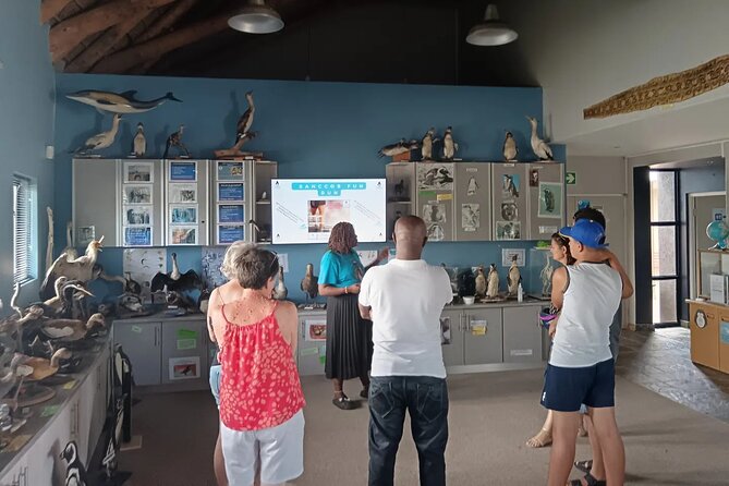 Guided Port Elizabeth Coastal Tour - Shark Rock Pier and Hobie Beach