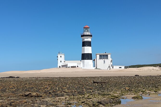 Guided Port Elizabeth Coastal Tour - Starting with Shark Rock Pier
