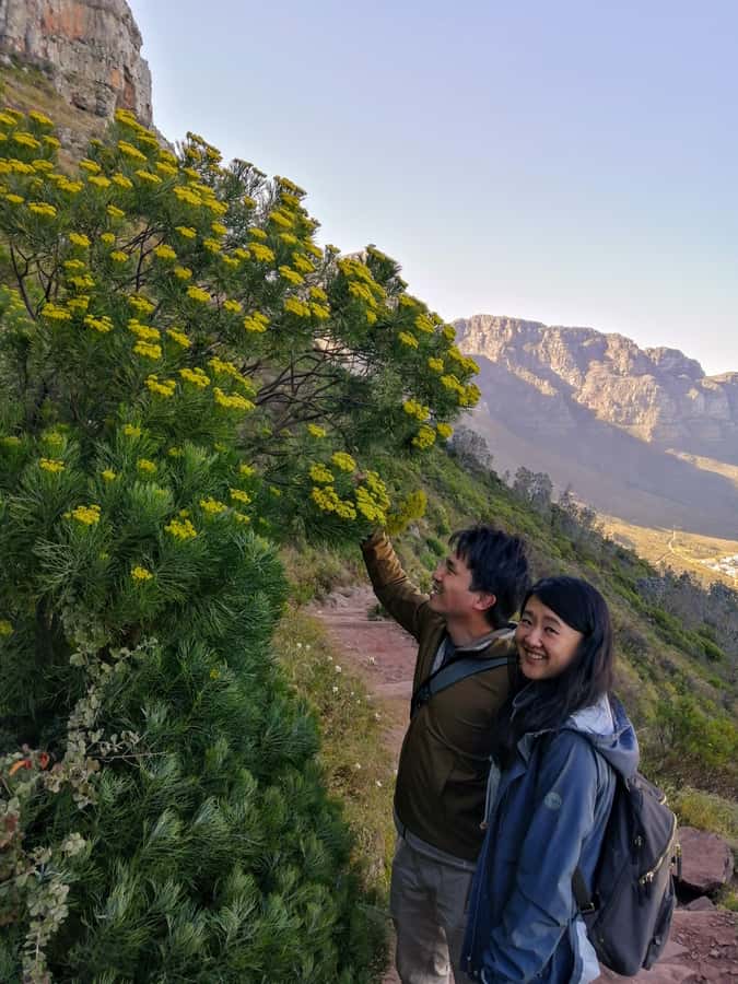 Guided Table Mountain Hike – Kasteelspoort Scenic Route - What the $120 price really covers