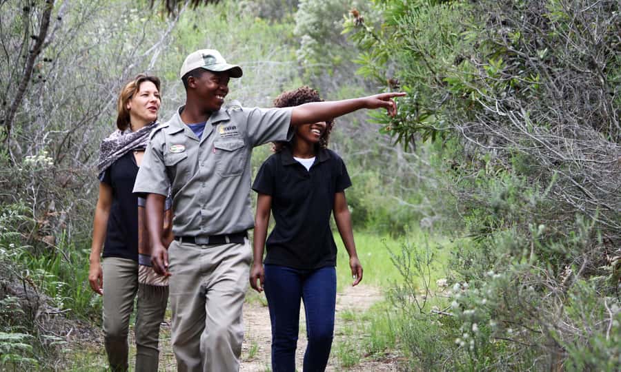 Guided Wildlife Tour and Forest Walk with Lunch Platter - Key details before you book