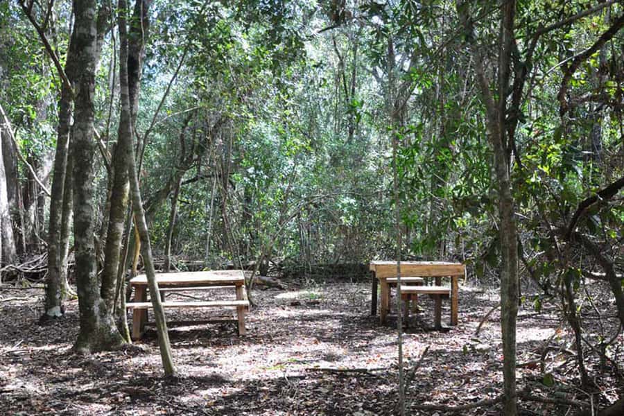 Guided Wildlife Tour and Forest Walk with Lunch Platter - Who will enjoy this most?