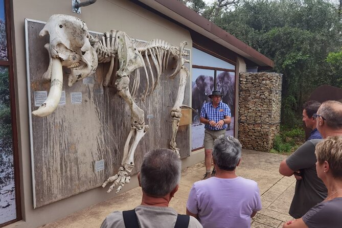 Half-Day Addo Elephant National Park - Group size, guide quality, and realistic expectations
