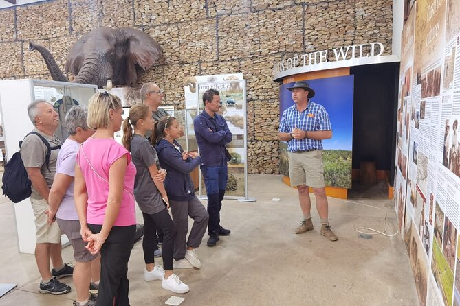 Half-Day Addo Elephant National Park - Should you book this half-day Addo safari?