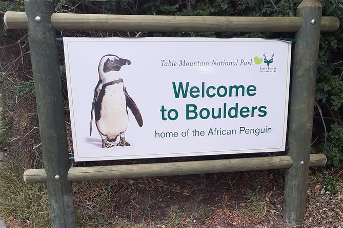 Half day African Penguin Tour - Why this half-day trip works well