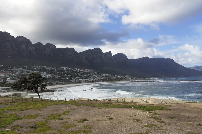 Half day African Penguin Tour - Chapman’s Peak Drive is a major bonus