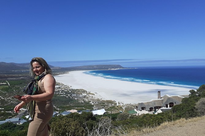 Half day African Penguin Tour - Noordhoek Farm Village as the alternate stop