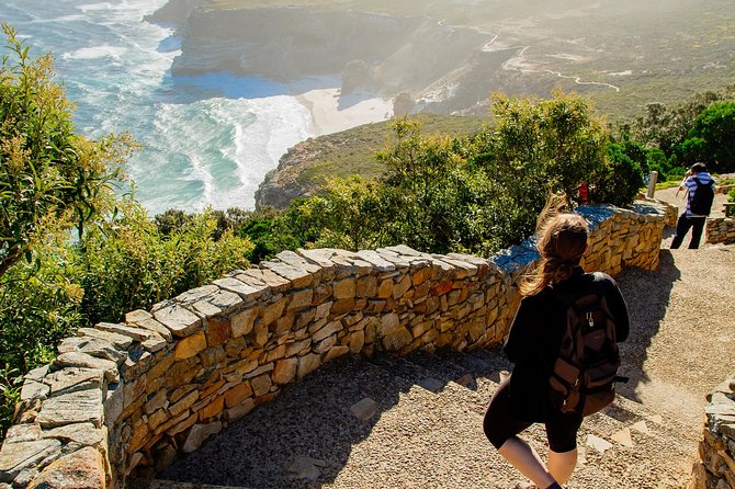 Half day am or pm Boulders Beach & Penguins with visit to Cape Point Great tour - Hout Bay and the working harbour