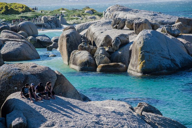 Half day am or pm Boulders Beach & Penguins with visit to Cape Point Great tour - Simon’s Town on the return route