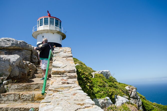 Half day am or pm Boulders Beach & Penguins with visit to Cape Point Great tour - Is $111.73 a fair price?