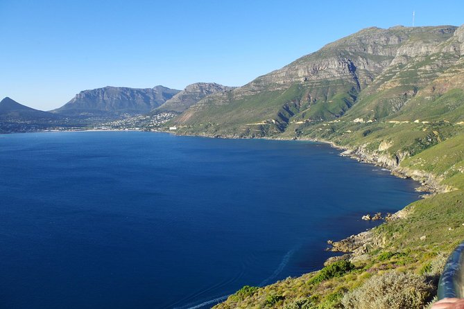 Half-Day Cape Peninsula Tour from Cape Town - Clifton Beach and Hout Bay set the tone