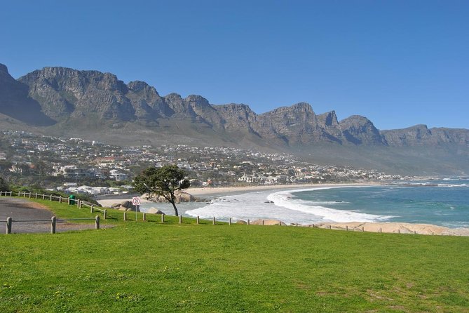 Half day Cape Point Sightseeing Tour with Penguins from Cape Town - Chapman’s Peak is the scenic centerpiece