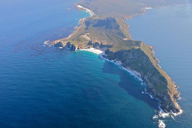 Half day Cape Point Sightseeing Tour with Penguins from Cape Town - Guide quality can shape the entire morning