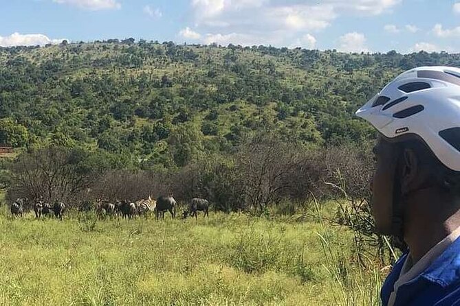 Half Day E-Biking with Wildlife Watching in Pretoria - Starting at 9:30 a.m. in Groenkloof Nature Reserve