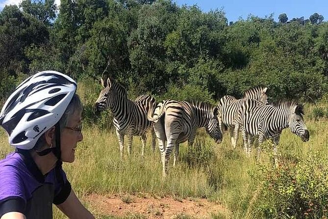 Half Day E-Biking with Wildlife Watching in Pretoria - Bike fitting and practice before the ride