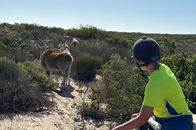 Half day Horse back safari - Lunch at the farm and a visit to !Khwa ttu