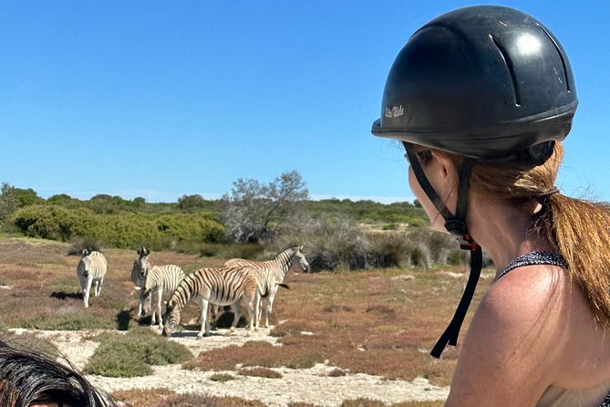 Half day Horse back safari - Who will enjoy this horse safari most?