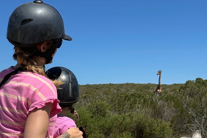 Half day Horse back safari - The Atlantic views and open country