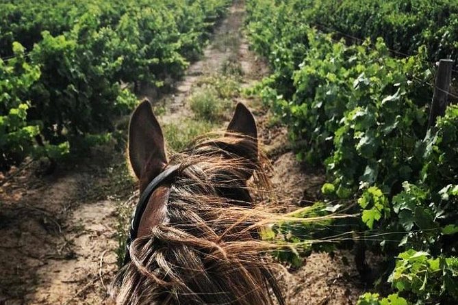 Half Day Horseback Wine Tour - What the $223 price really covers