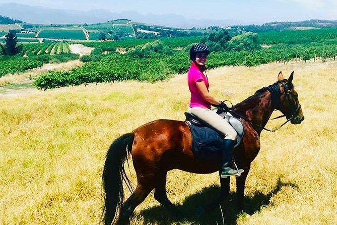 Half Day Horseback Wine Tour - Who should book this ride