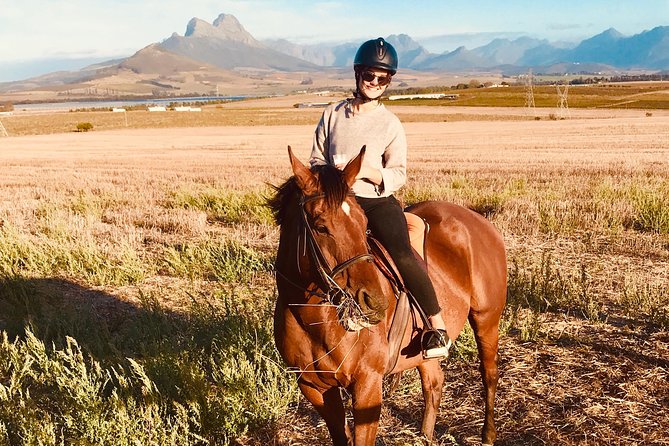 Half Day Horseback Wine Tour - The vineyard route from Vredenheim
