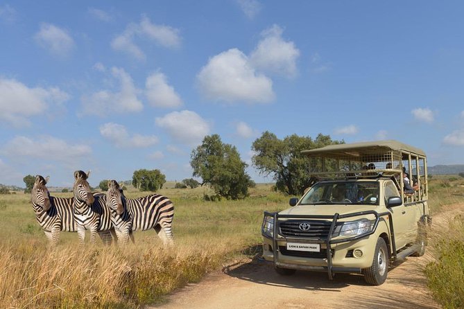 Half Day Lion Park tour from Johannesburg or Pretoria - A short safari close to Johannesburg