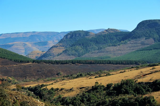 Half Day Panorama Guided Tour - The guide can make or break a short route