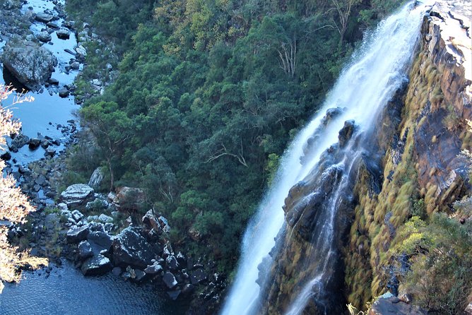 Half Day Panorama Guided Tour - Price, inclusions, and the fee confusion