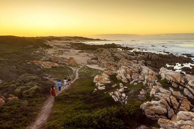 Half-Day Port Elizabeth & Kragga Kamma Reserve - Cape Recife Lighthouse and the African penguins