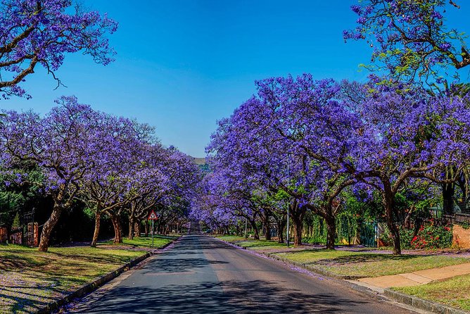Half Day Pretoria City Tour from Johannesburg or Pretoria - The ride from your hotel