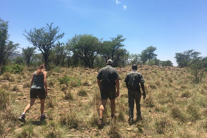 Half Day Safari Tour from Johannesburg - A Johannesburg safari without a full-day commitment