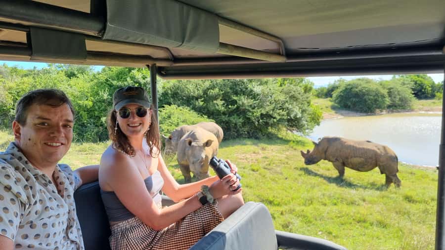 Half-Day Schotia Game Reserve (Open 4x4 Vehicle) - Searching for elephants, lions, and rhinos