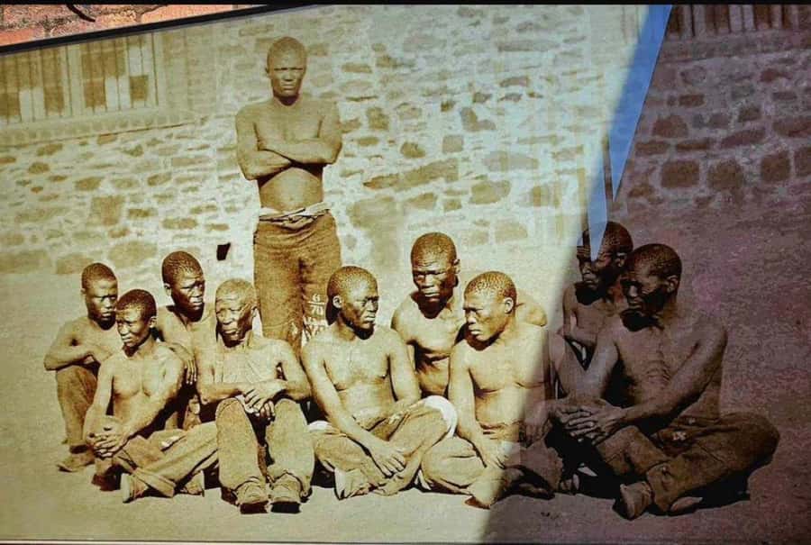 Half Day Soweto and Apartheid Museum Guided Tour - What the guide adds to the experience