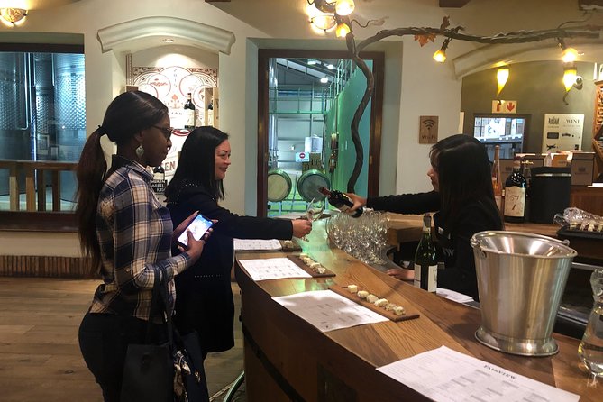Half Day Stellenbosch Winelands Private Tour from Cape Town - Marianne pairs biltong with red wine