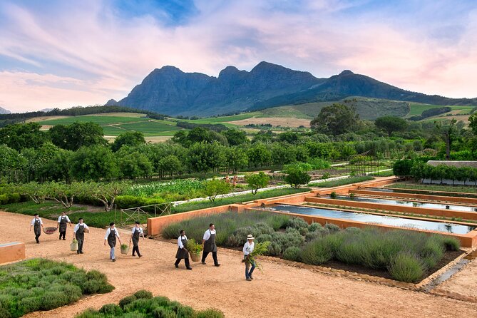 Half Day Stellenbosch Winelands Private Tour from Cape Town - Practical details that affect your day