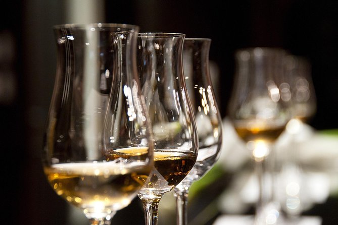 Half-Day Stellenbosch Winelands Tour from Cape Town - First tasting at Stellenbosch Vineyards