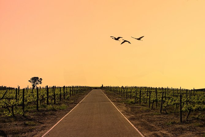 Half-Day Stellenbosch Winelands Tour from Cape Town - The drive into Stellenbosch