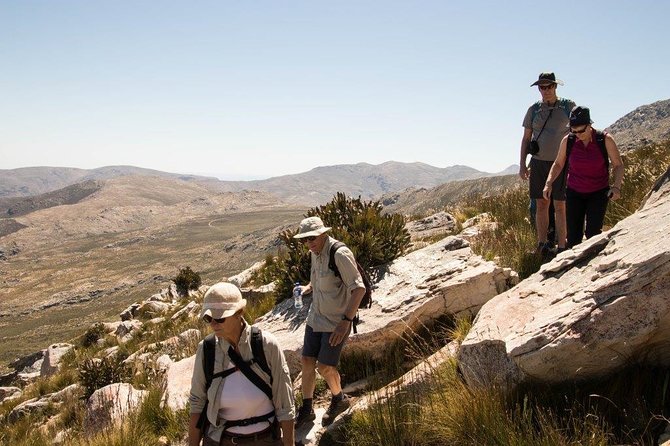 Half-Day Swartberg Pass PRIVATE Tour (including lunch & transfer - Oudtshoorn) - Why Swartberg Pass is worth your half-day