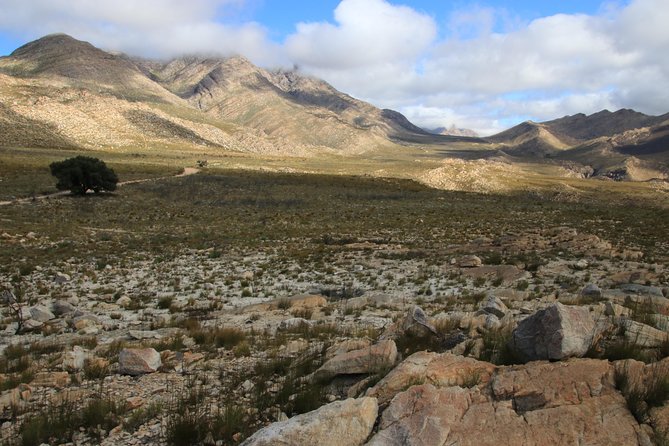 Half-Day Swartberg Pass PRIVATE Tour (including lunch & transfer - Oudtshoorn) - Lunch, park fees, and what the price really covers