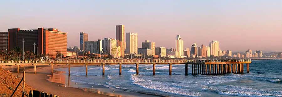 Half Day Tala Game Reserve & Natal Lion Park from Durban - Guides, local context, and the human side