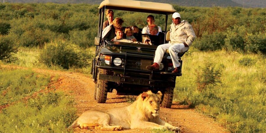 Half Day Tala Game Reserve & Natal Lion Park from Durban - Transport is the biggest point to check