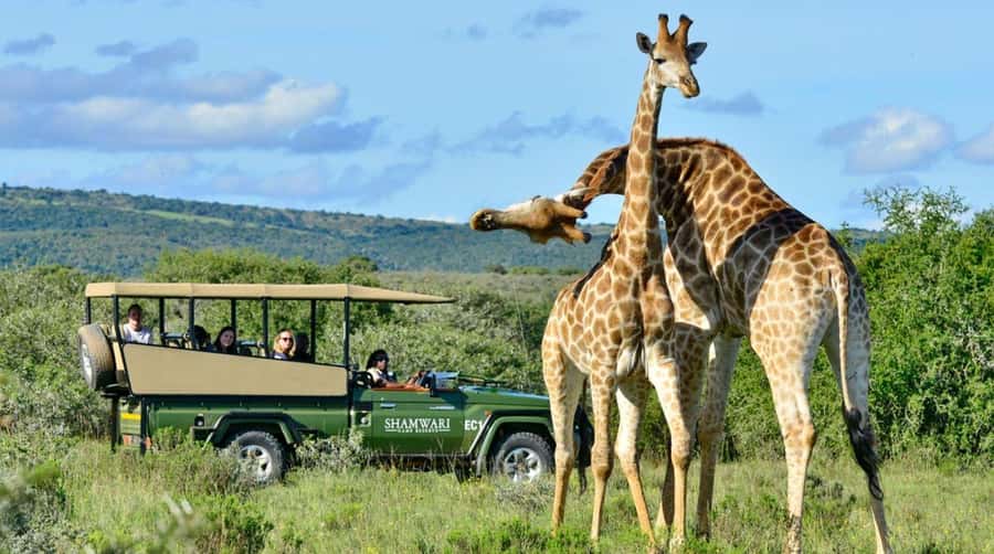 Half Day Tala Game Reserve & Natal Lion Park from Durban - Weather can change the day