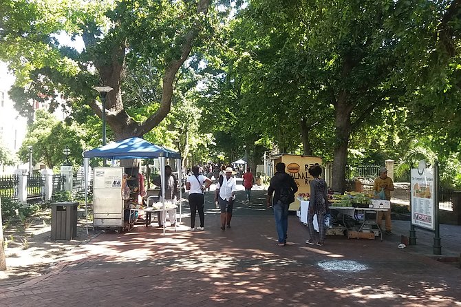 Half-Day Tour of Cape Town City - Company’s Gardens, trees, art and squirrels