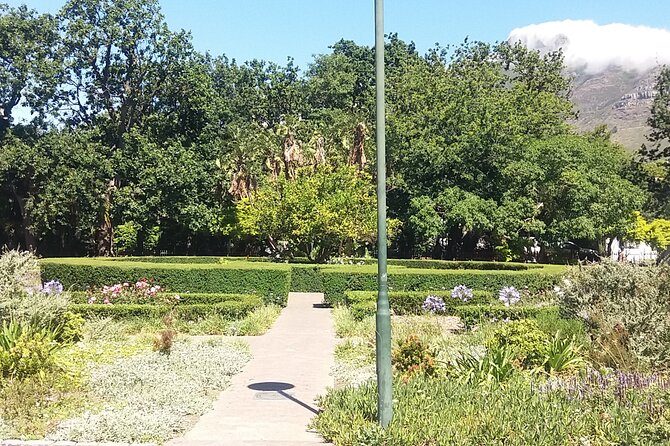Half-Day Tour of Cape Town City - Iziko Slave Lodge and the Cape’s painful foundations