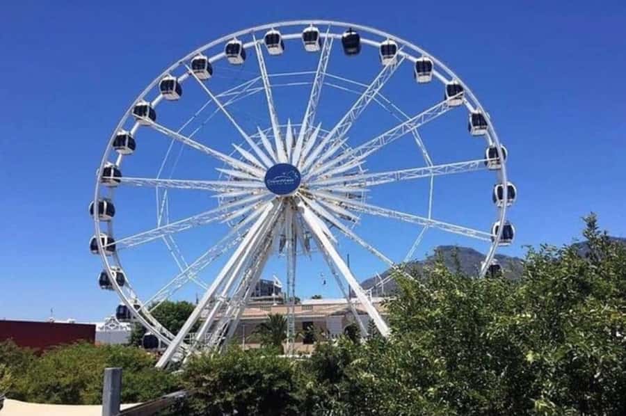 Half Day Tour to Robben Island with Pre-Booked Ticket - Booking advice and small practical details