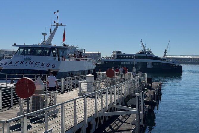 Half-Day Tour to Robben Island with Reserved Tickets. - Touring the island by shared bus
