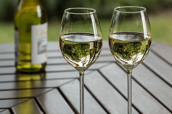 Half Day Wine Tour from Cape Town - Why this half-day tour works in a tight Cape Town schedule