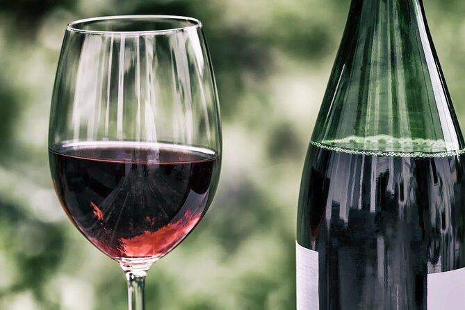 Half Day Wine Tour from Cape Town - Marianne Wine Estate: the second look at the Winelands