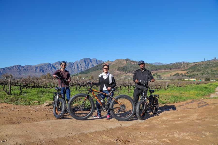 Half-Day Winelands E-Bike Tour with Wine Tasting - Riding through hills, valleys, and vineyards