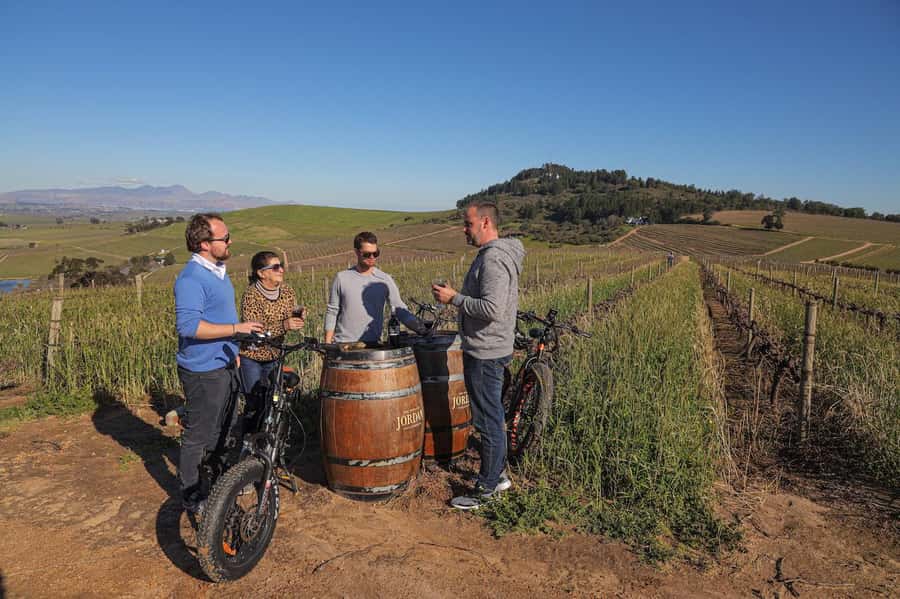 Half-Day Winelands E-Bike Tour with Wine Tasting - Finishing at the wine estate